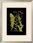 Weinmann Botanical On Black Viii by Johann Wilhelm Weinmann Limited Edition Print