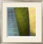 Banana Leaves I by Joy Doherty Limited Edition Print