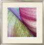 Banana Leaves Ii by Joy Doherty Limited Edition Print