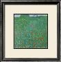 Poppy Field, 1907 by Gustav Klimt Limited Edition Print