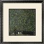 Park by Gustav Klimt Limited Edition Pricing Art Print