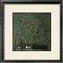 Park by Gustav Klimt Limited Edition Print