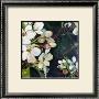 Blossom Rhapsody Iii by Mary Mclorn Valle Limited Edition Print