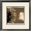 Season by Jean-Francois Dupuis Limited Edition Pricing Art Print