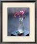 Columbine In A Glass by Alexandra Grablewski Limited Edition Pricing Art Print