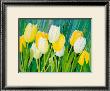 Tulips by Franz Heigl Limited Edition Pricing Art Print