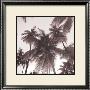 Island Palms by Michael Kahn Limited Edition Pricing Art Print