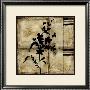 Patina Elegance Iv by Jennifer Goldberger Limited Edition Print