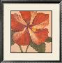 Island Hibiscus I by Judy Shelby Limited Edition Print