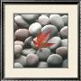 Leaf On Stone by Glen & Gayle Wans Limited Edition Pricing Art Print