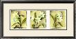 White Lilies by Franz Heigl Limited Edition Pricing Art Print
