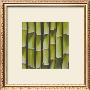 Bamboo Lengths by Boyce Watt Limited Edition Pricing Art Print