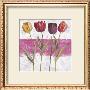 Tulipe Sur Rose by Valerie Roy Limited Edition Pricing Art Print