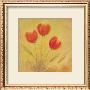 Orange Tulips And Wheat by Serena Sussex Limited Edition Print