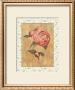 Antique Peony Ii by Linda Hanly Limited Edition Print