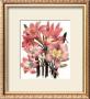 Belladonna by Jane W. Loudon Limited Edition Print