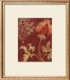 Chateau Pomegranate Ii by Regina-Andrew Design Limited Edition Print
