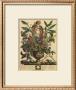 January by Robert Furber Limited Edition Print