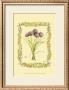 Chives by Wendy Russell Limited Edition Pricing Art Print