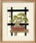 Zen Bonsai Iv by Jennifer Goldberger Limited Edition Print