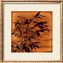 Bamboo Waves Ii by Thomas Kalwa Limited Edition Print