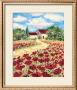 Poppy Field Ii by Antonette Bowman Limited Edition Print