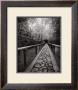 Stone Path by Jeff Zaruba Limited Edition Print