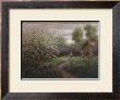 Spring Blossom by Jon Mcnaughton Limited Edition Pricing Art Print