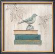 Aviary Library by Arnie Fisk Limited Edition Print