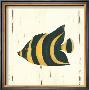 Tropical Fish: Angel Fish by Grace Pullen Limited Edition Print