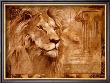 Lion by Annrika Mccavitt Limited Edition Print