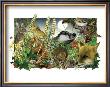 Animals by Alan Baker Limited Edition Pricing Art Print