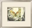 Butterfly Song I by Jennifer Goldberger Limited Edition Print