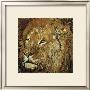 Lion Portrait by Fabienne Arietti Limited Edition Pricing Art Print