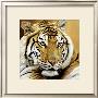 Portrait D'aliba by Danielle Beck Limited Edition Print
