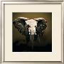 On Safari by Bobbie Goodrich Limited Edition Print