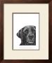 Millie The Black Lab by Beth Thomas Limited Edition Pricing Art Print