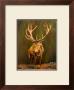 King Of The Hill by Dmitry Guskov Limited Edition Pricing Art Print