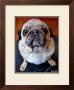 Pug On A Rug by Robert Mcclintock Limited Edition Print