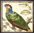 Tropical Parrot Ii by Martinet Limited Edition Print