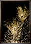 Plumes D'or Ii by Jason Johnson Limited Edition Pricing Art Print