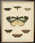 Heirloom Butterflies Ii by Pieter Cramer Limited Edition Print
