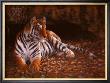 The Tiger's Lair by W. Michael Frye Limited Edition Print