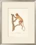Monkeys: L'alouate by Jean-Baptiste Audebert Limited Edition Print