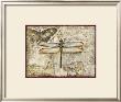 Poetic Dragonfly Ii by Chariklia Zarris Limited Edition Print