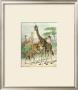 Giraffe by Friedrich Specht Limited Edition Print
