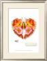 Infractus Midocarus Polychromus by Michel Tcherevkoff Limited Edition Pricing Art Print