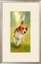 Charging Beagle by Dmitry Guskov Limited Edition Print
