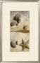 Galets Bleus Et Etoile De Mer by Veronique Didier-Laurent Limited Edition Print