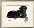 Black Dog by Cal Hoy Limited Edition Pricing Art Print